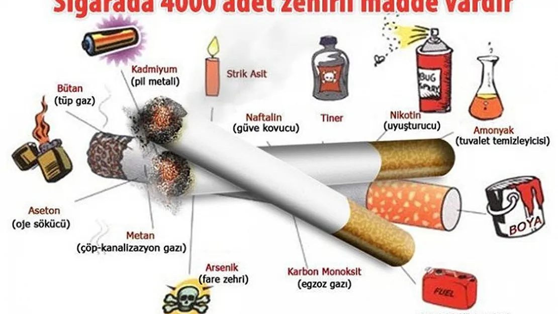 Sigaranın Sebep Olduğu Hastalıklar Nelerdir?