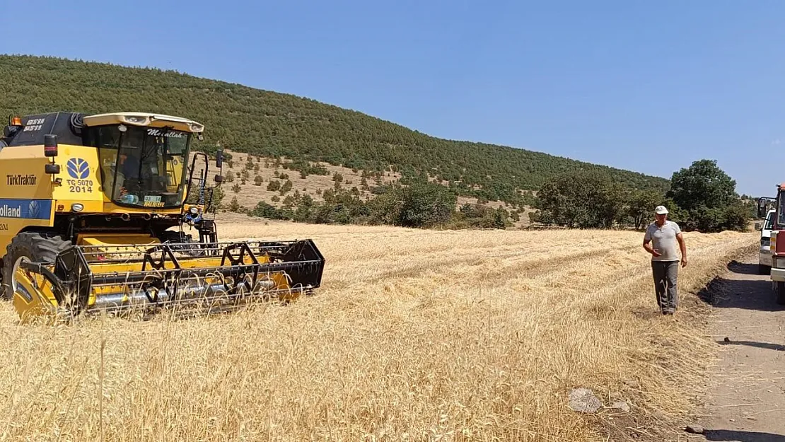 Simav'da Biçerdöverlerin Biçim Yasağına Uyup Uymadığı Kontrol Ediliyor