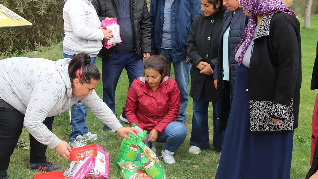 Sokak hayvanlarına önce mama bıraktılar sonra sevdiler