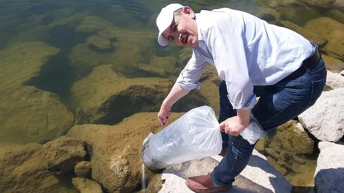 Şuhut'ta baraj ve göletlere 85 bin adet yavru balık bırakıldı