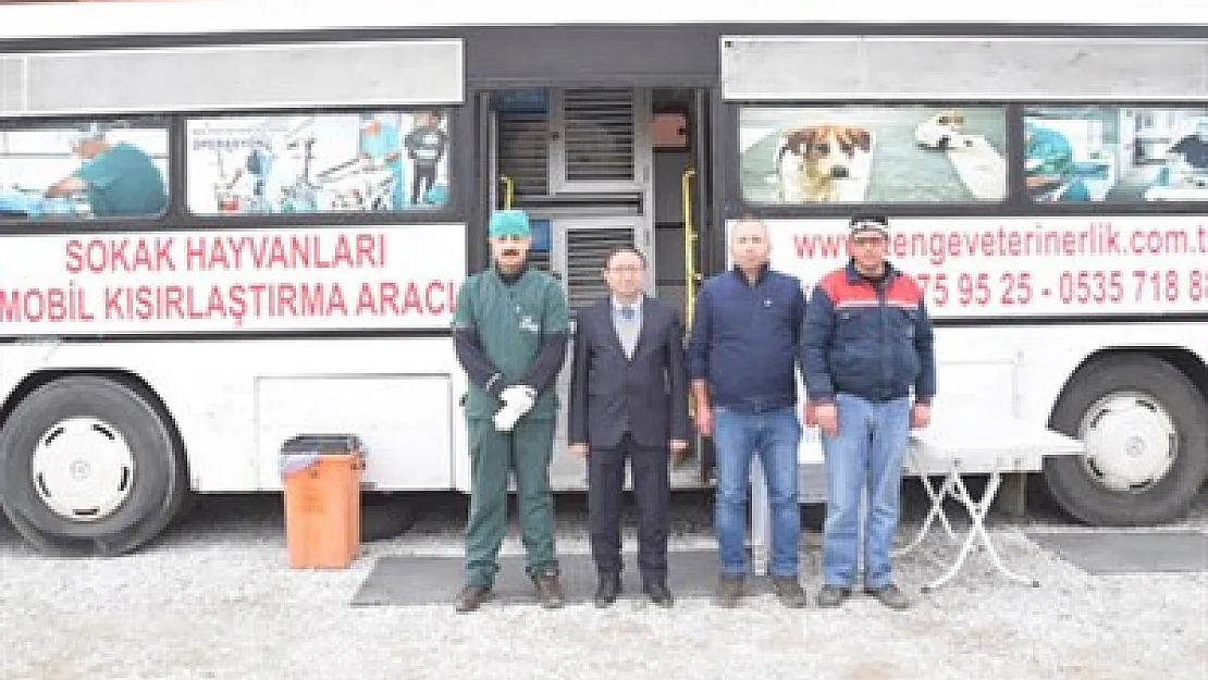 Şuhut'ta sokak hayvanları rehabilite ediliyor