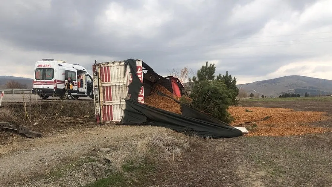 Talaş yüklü kamyon devrildi, sürücüsü yaralandı