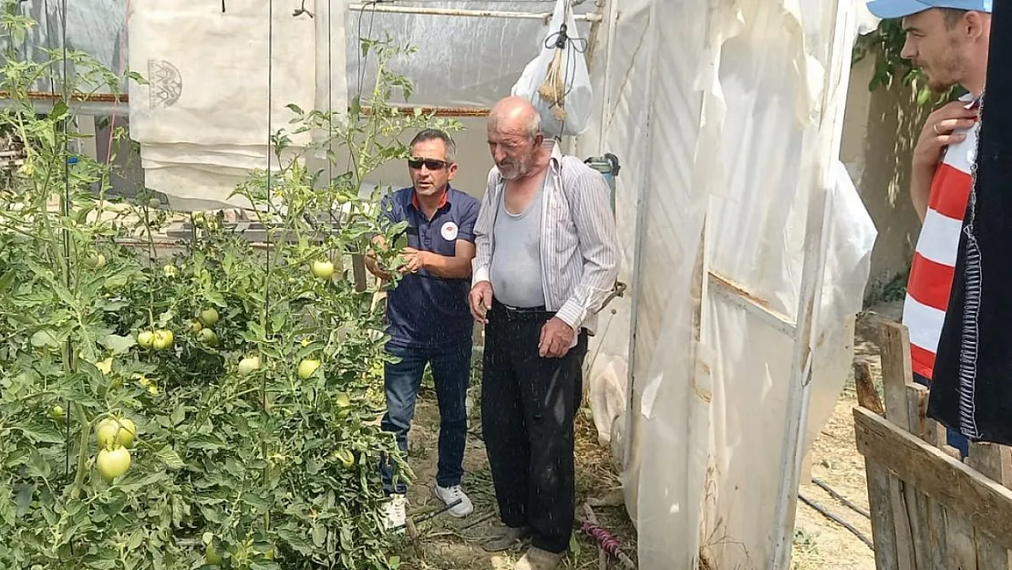 Tavşanlı'da Seralarda Bitki Hastalık Ve Zararlı Kontrolleri