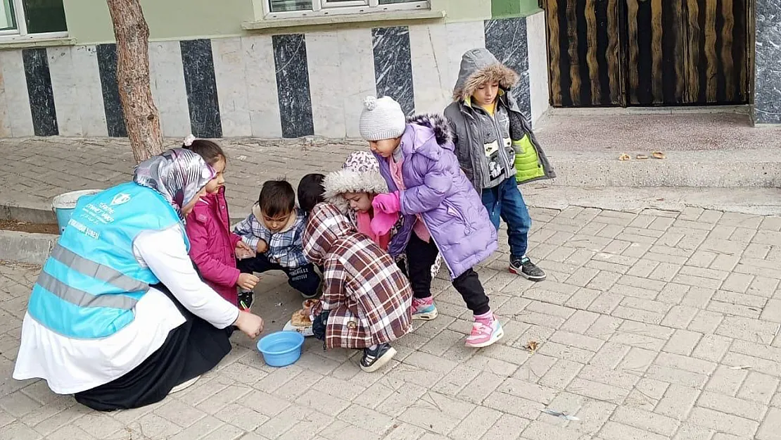 TDV Hanımları Sokak Hayvanlarını Unutmadı