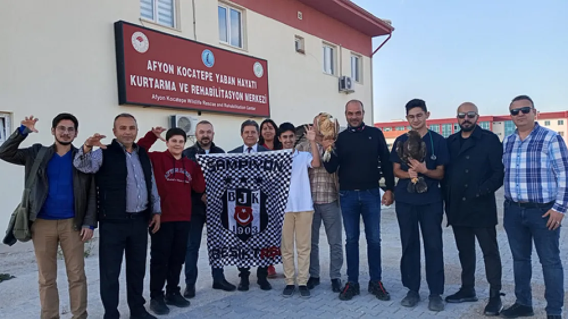 Tedavileri tamamlanan orman kartalı ve şahin doğaya salındı