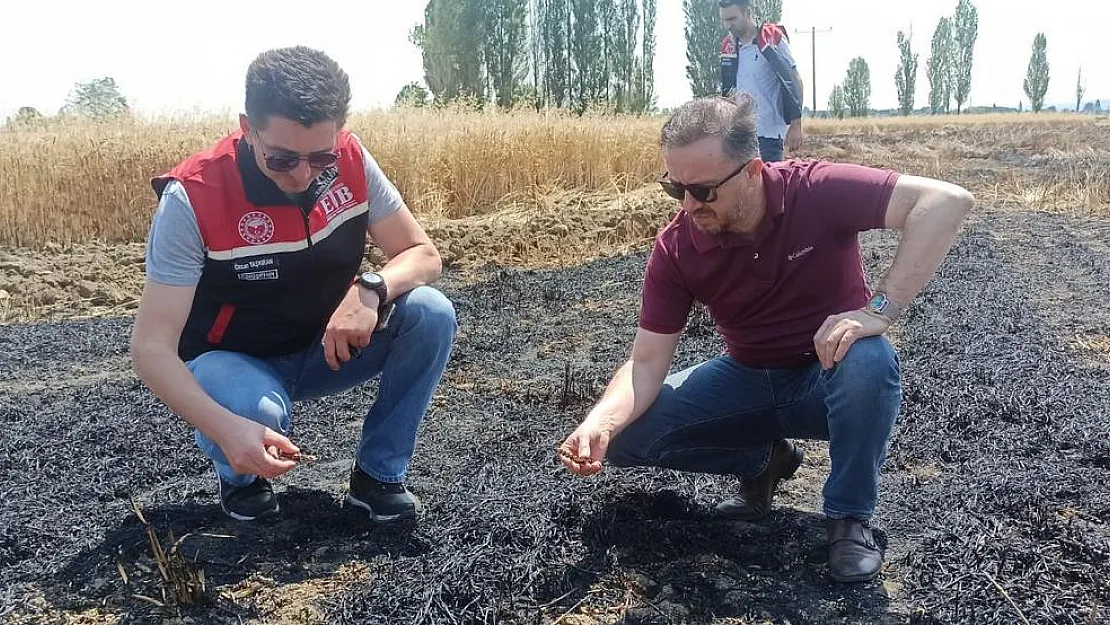 Tepebaşı İlçe Tarım Müdürlüğü yangın çıkan tarlalarda inceleme yaptı