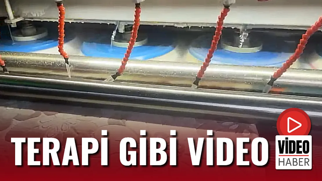 Terapi Gibi Video