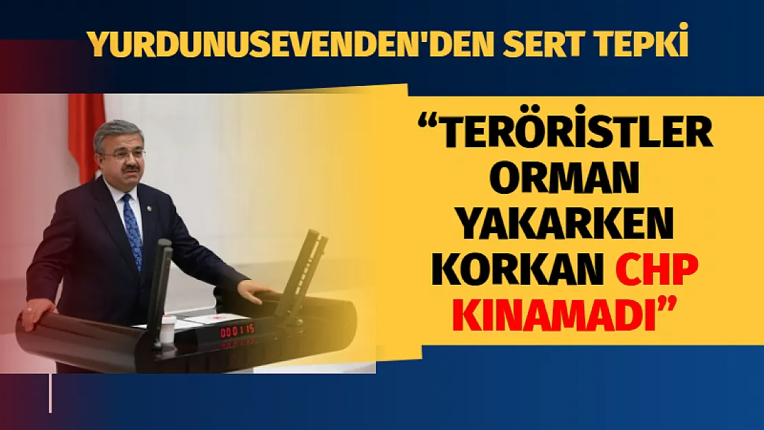 'Teröristler orman yakarken korkan CHP kınamadı'