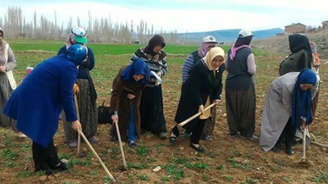 'Türkiye yeni sistemle atılım yapacak'