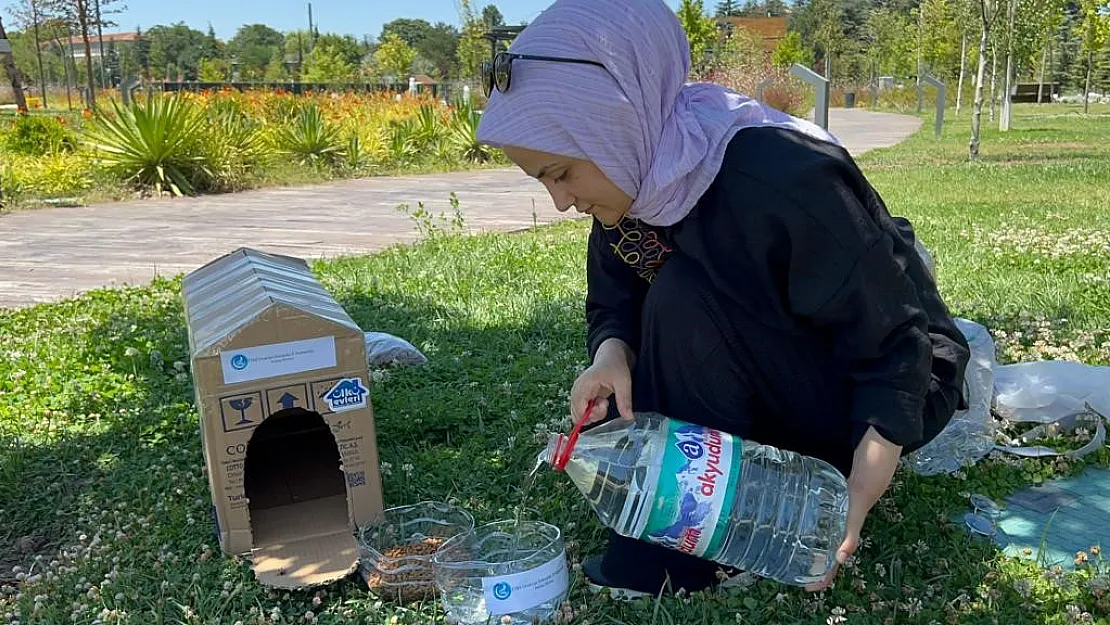 Ülkü Ocakları'ndan sokak hayvanlarına mama ve su desteği