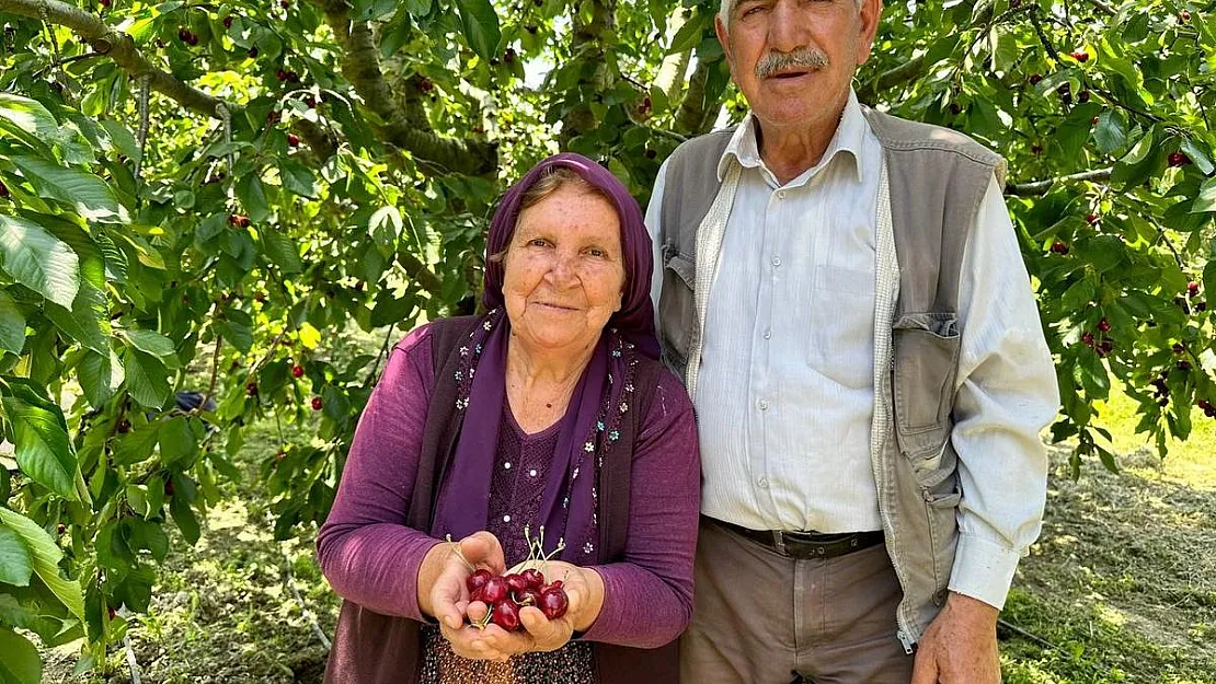 Üreticiler ile tüccarlar fiyatta anlaşamazsa kiraz dalında kalacak