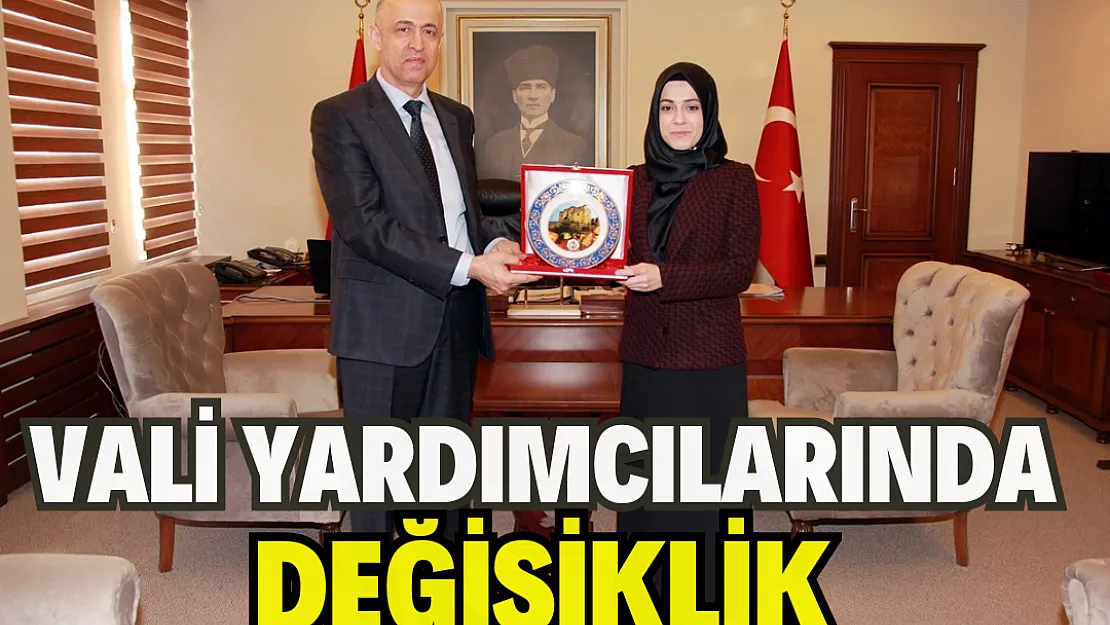 Vali Yardımcılarında değişiklik