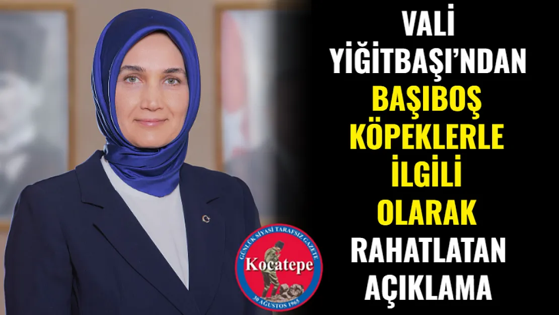 Vali Yiğitbaşı'ndan Başıboş Köpeklerle İlgili Olarak Rahatlatan Açıklama