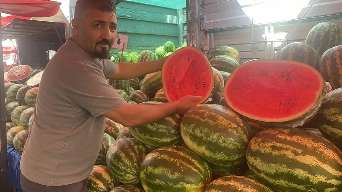 Verimi Yüksek Olan Karpuzun Fiyatı Yüzde 100'den Fazla Düştü