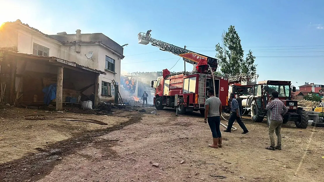 Yangında 14 Büyükbaş Hayvan Telef Oldu