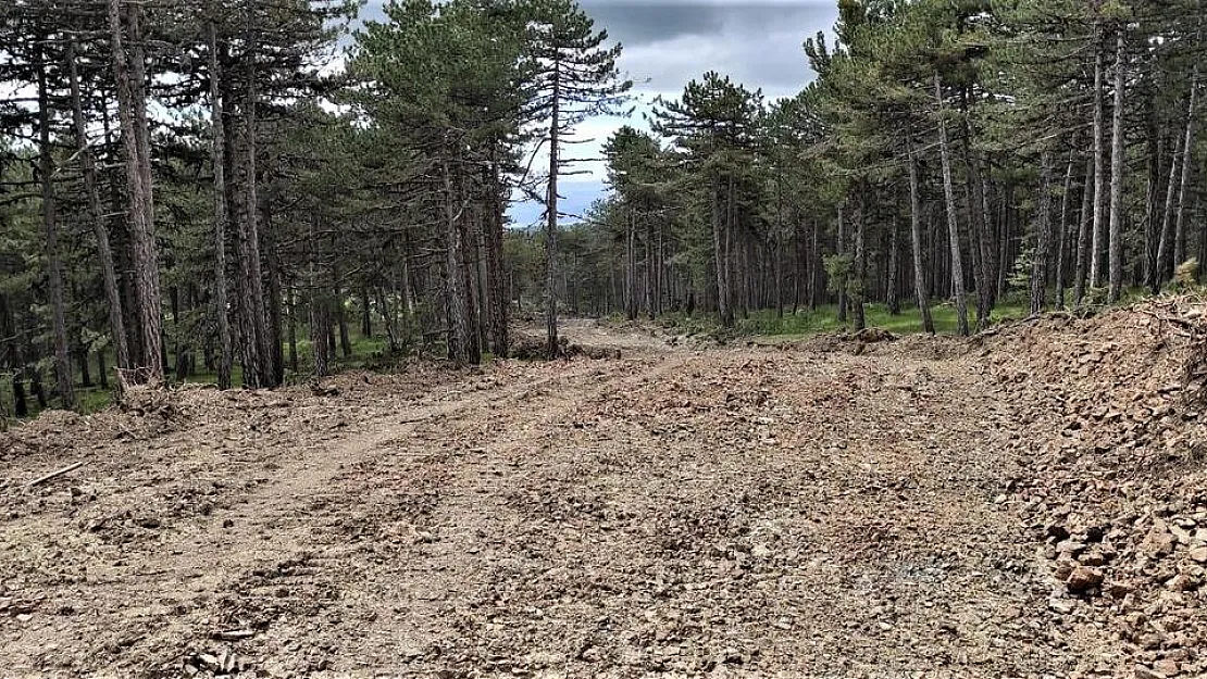 Yangınlarıyla mücadelede yeni savunma hatları oluşturuluyor