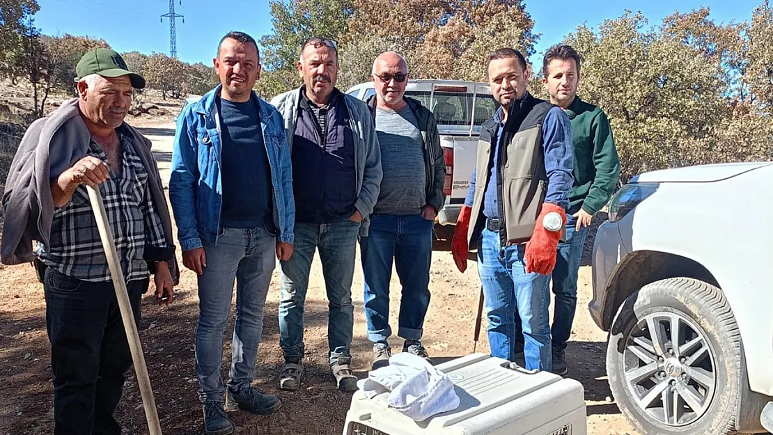 Yaralı Halde Bulunan Hayvanlar Koruma Altına Alındı