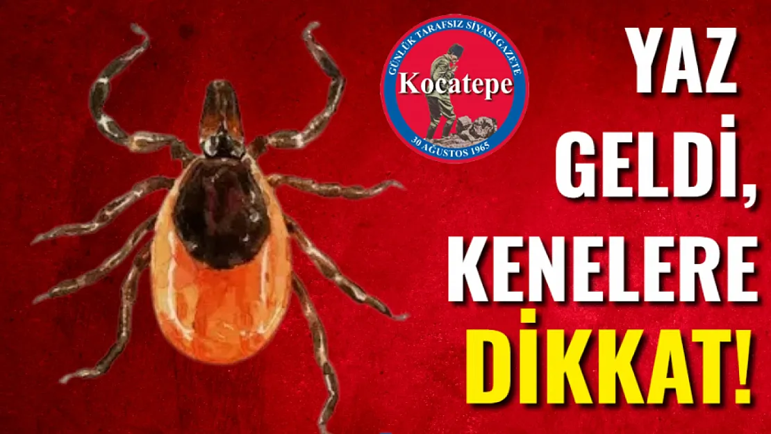 Yaz Geldi, Kenelere Dikkat!
