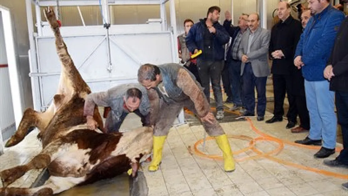Yeni mezbahada deneme kesimi yapıldı