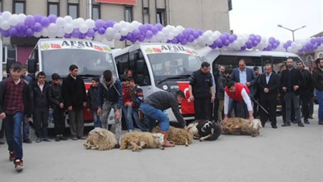 Yeni otobüsler hizmete girdi – Kocatepe Gazetesi