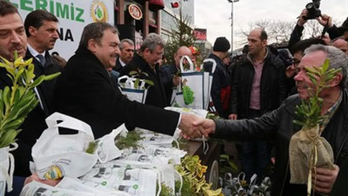 Yılbaşından bu yana 300 bin fidan dikildi