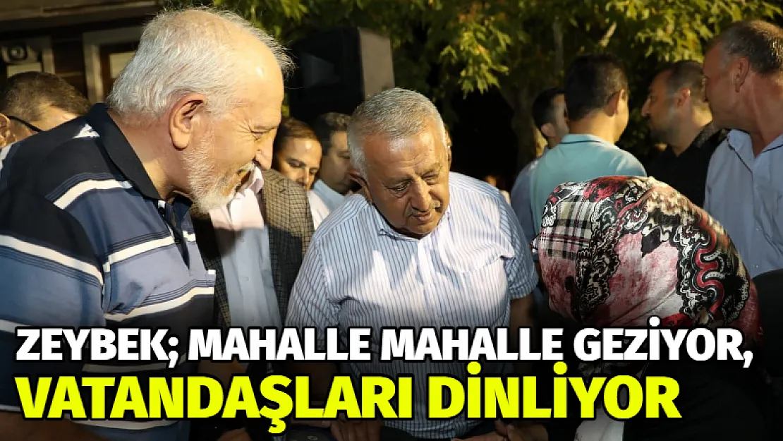 Zeybek mahalle mahalle geziyor, vatandaşları dinliyor