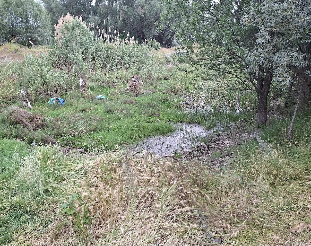 Afyon'da Kayıp Şahsın Cansız Bedeni Bulundu