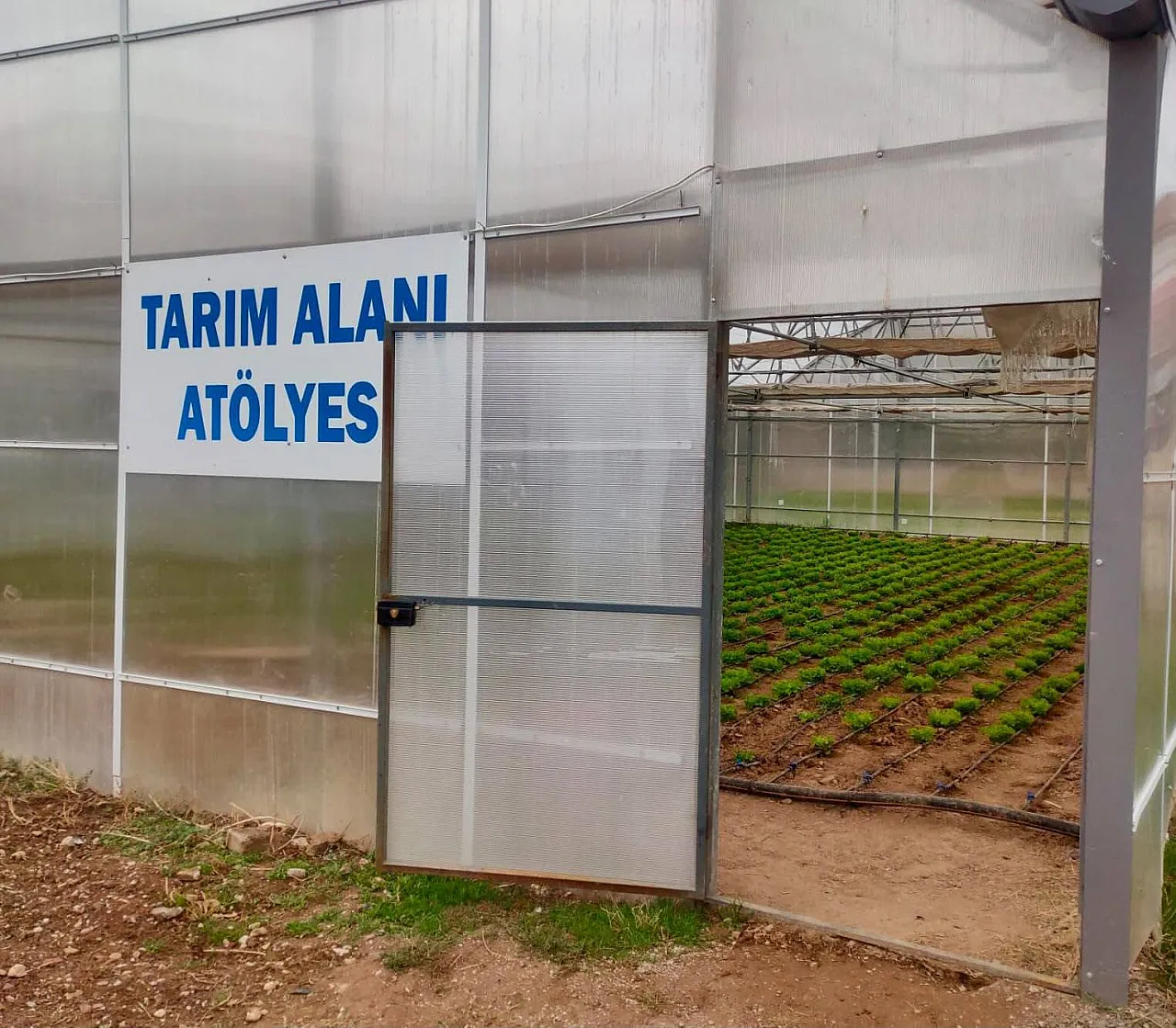 Afyon'da Bu Lisede Öğrenciler Sınıftan Çıkıp Seraya Girdi!