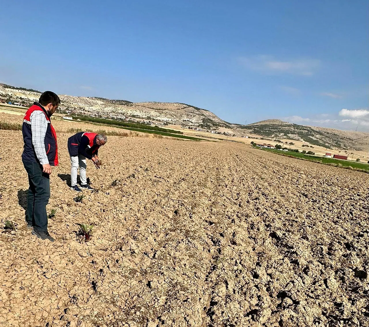 Tarım Verilerinin Doğruluğu Sahada Test Ediliyor!
