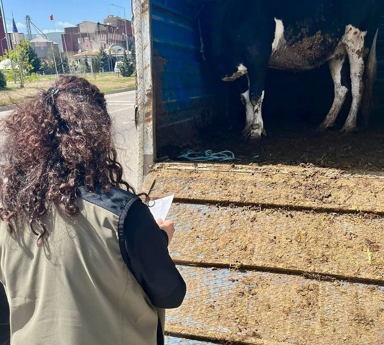 Afyon'da Tarım Müdürlüğü Ekipleri Kurban Bayramı Öncesi Teyakkuzda
