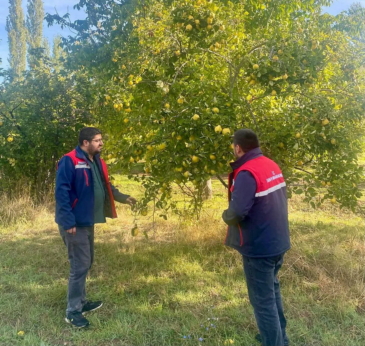 Bolvadin'de Tarlalar İncelendi