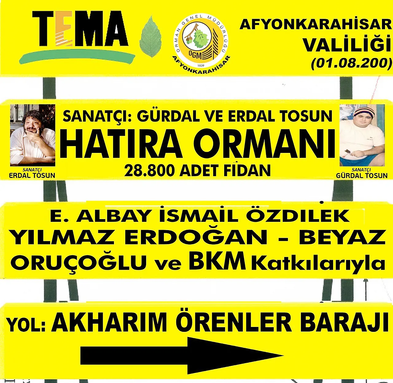 Orman Yangınları