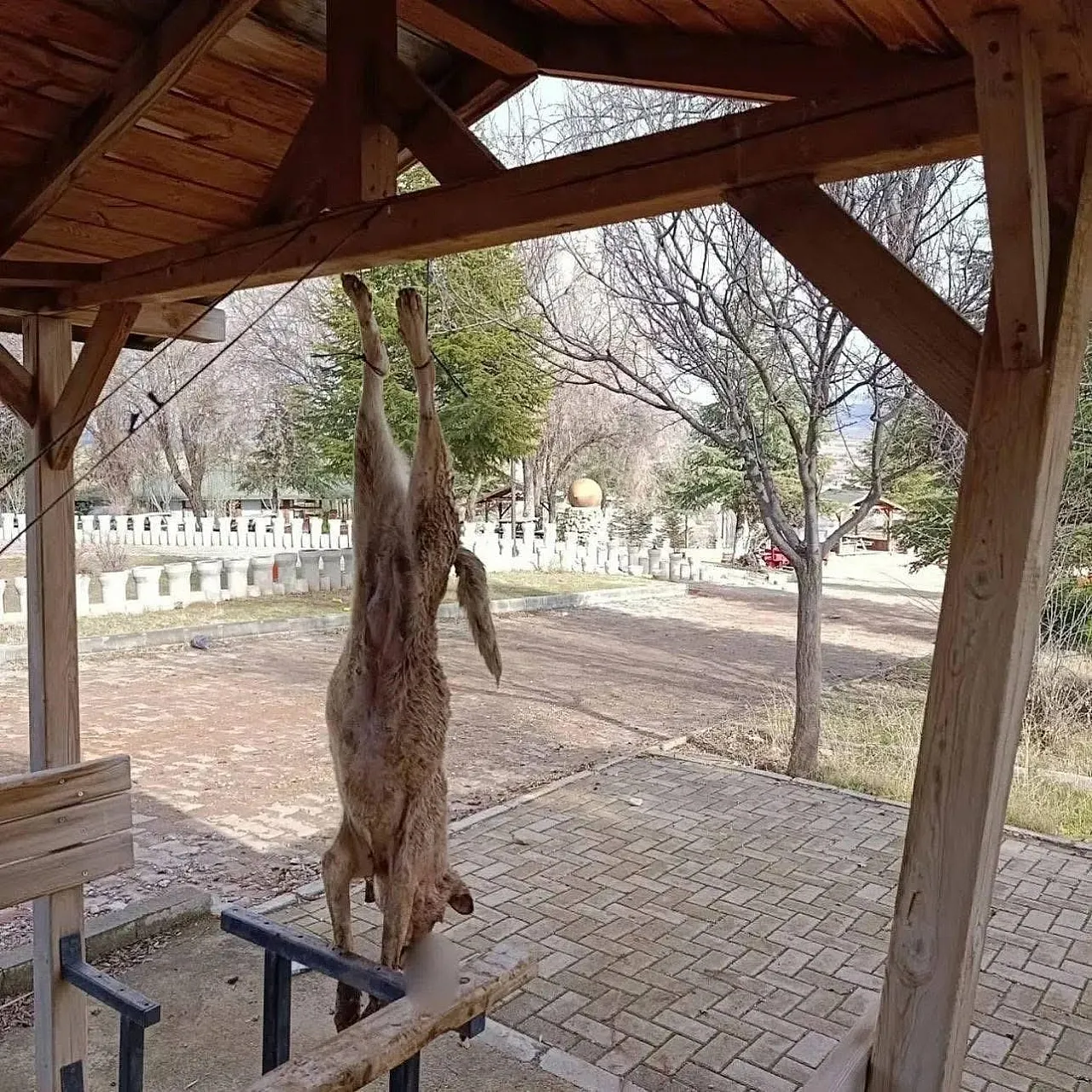 Vahşi Olay Soruşturuluyor