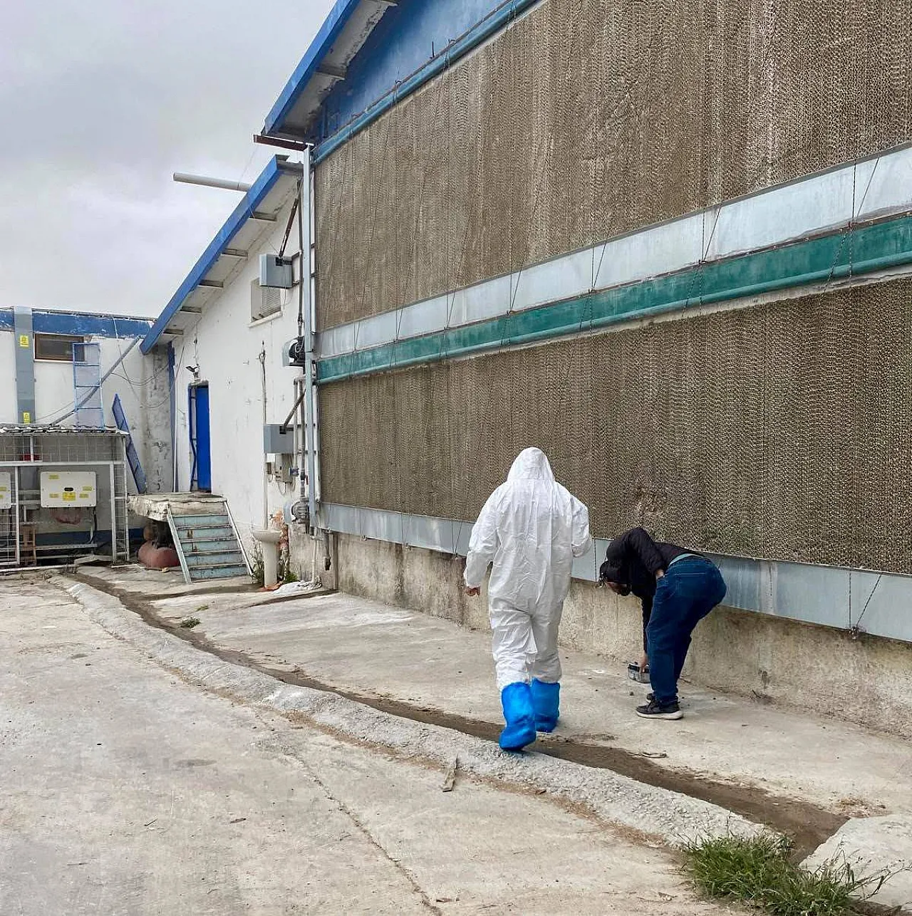 Bolvadin'de Kanatlı İşletmelerinde Dikkat Çeken Kontrol!