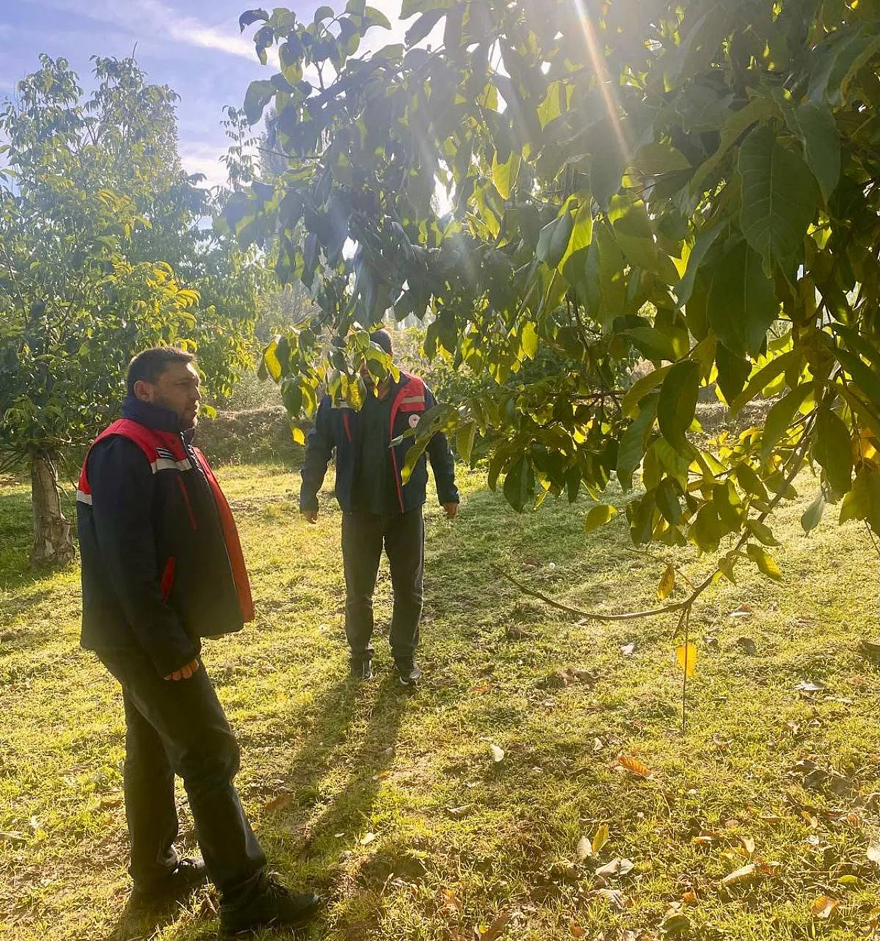Bolvadin'de Tarlalar İncelendi