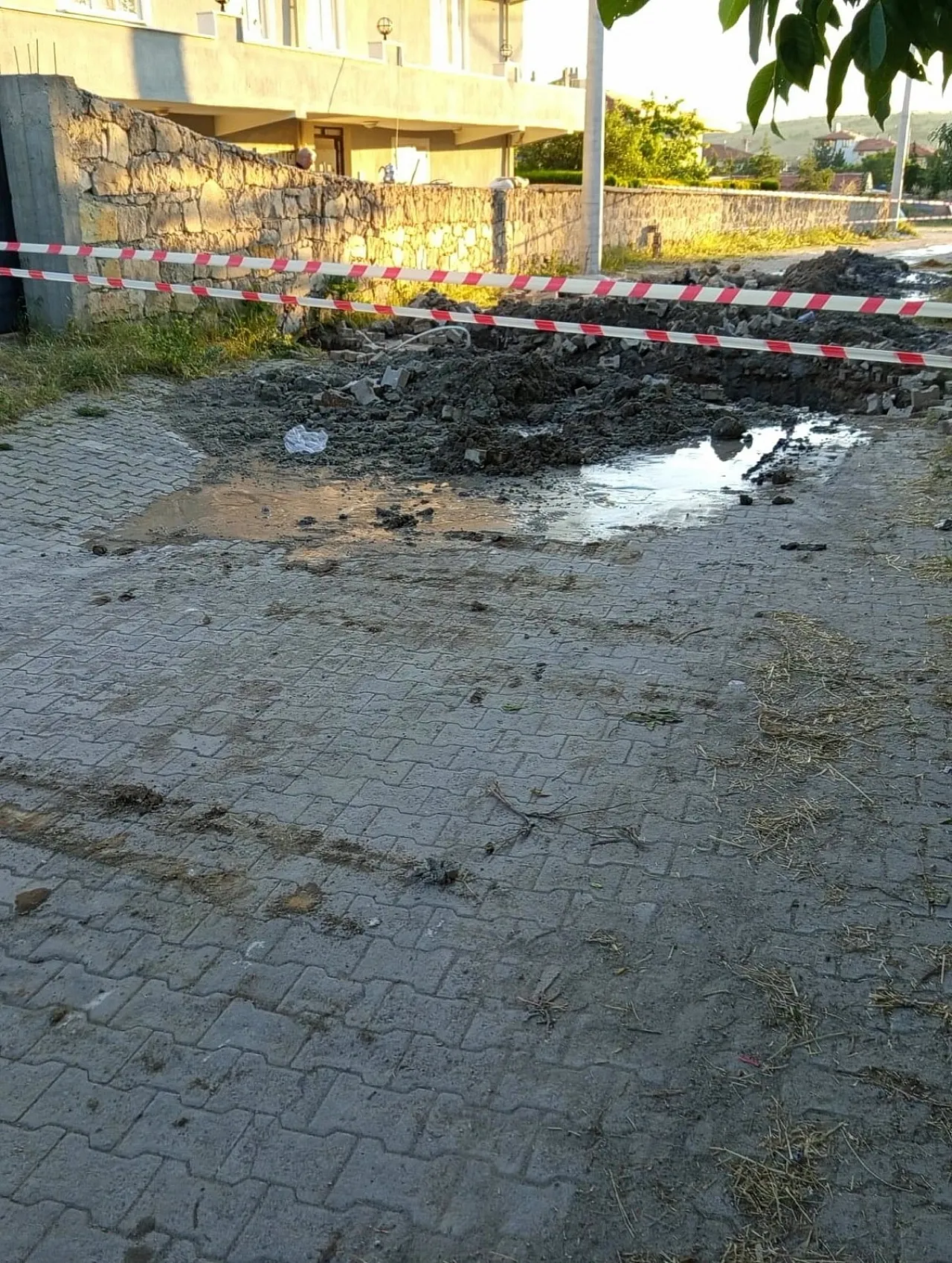Çukura Düşen İnek Olayında Belediye'den Açıklama Var