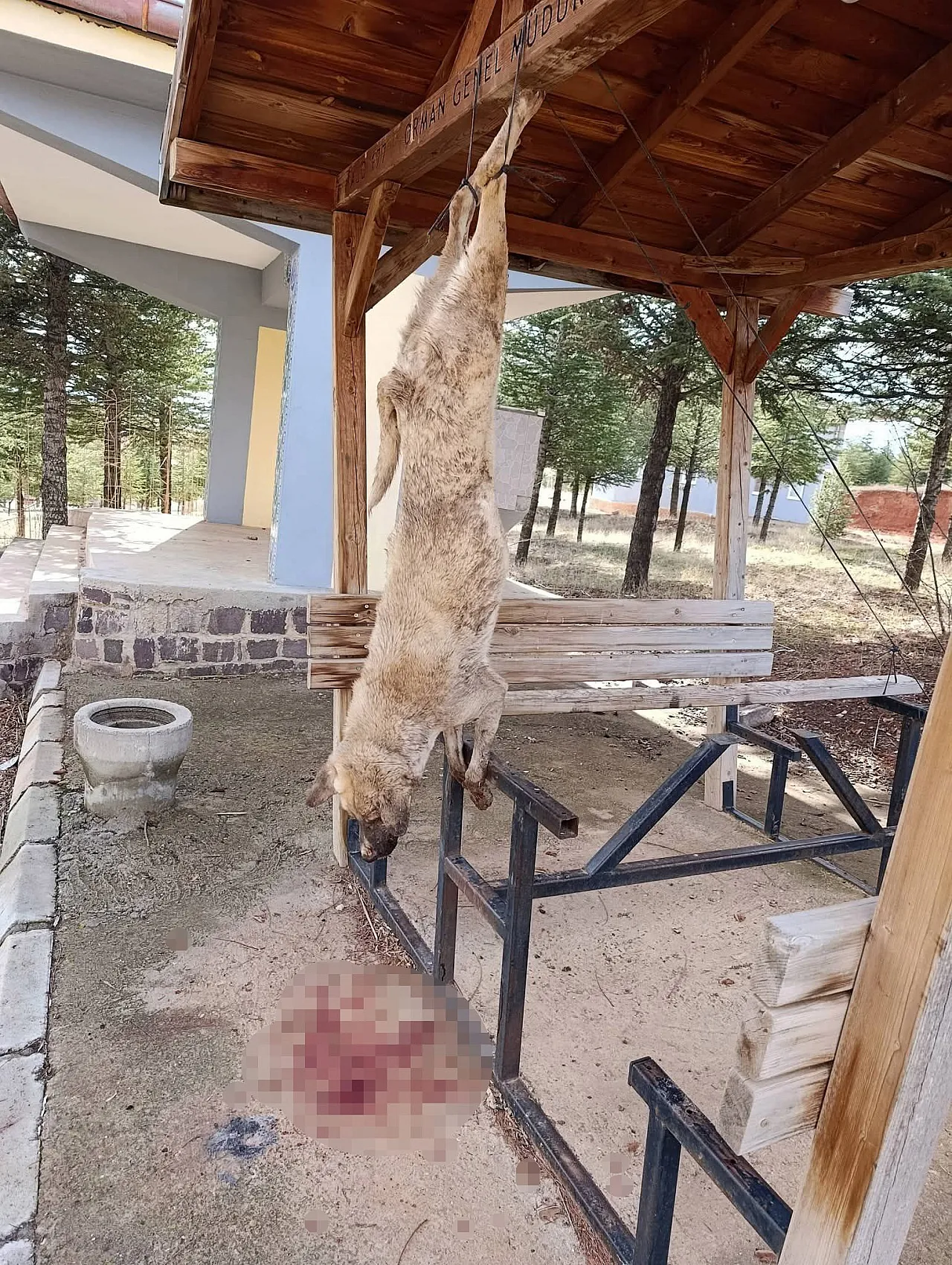 Vahşi Olay Soruşturuluyor