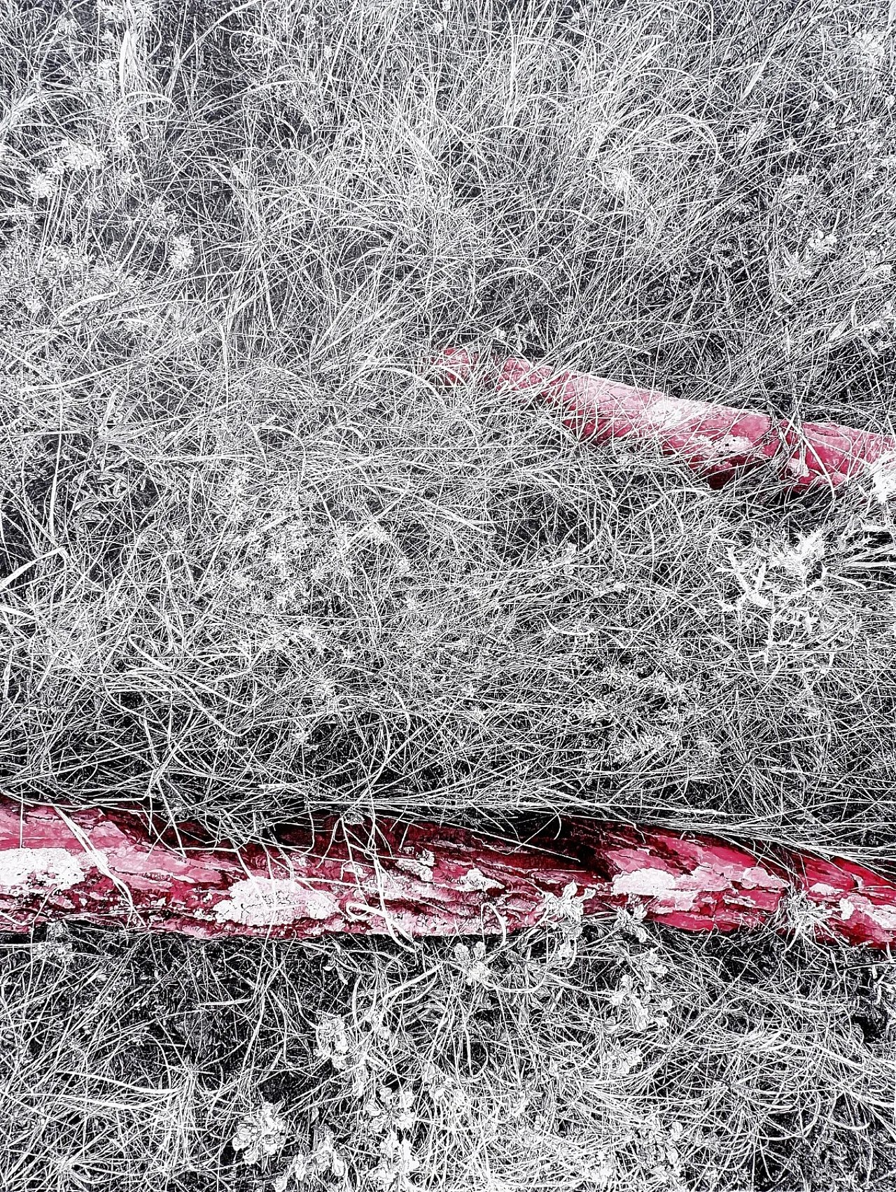 AKÜ GSF Akademisyeninden Gururlandıran Başarı