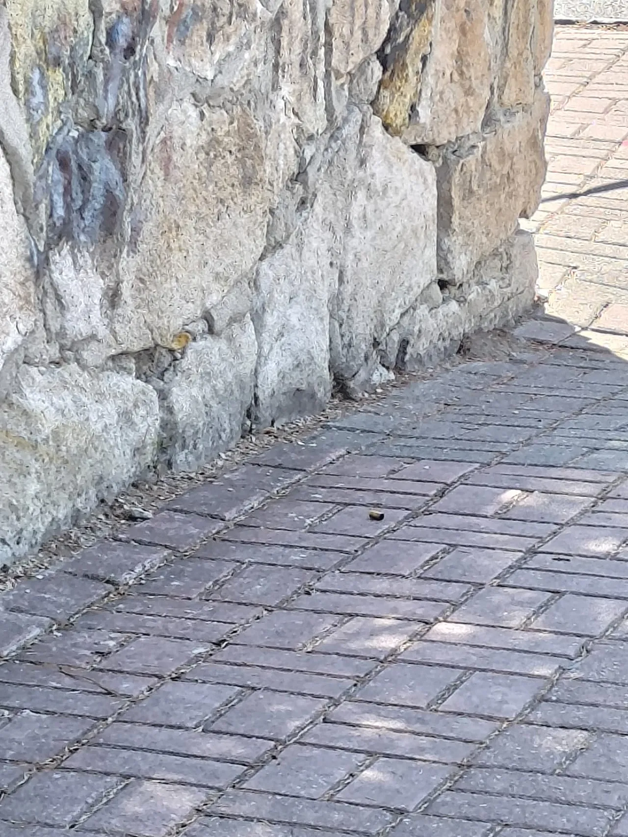 Afyon'da Parkta Dehşet: Eşini, Kayınvalidesini Ve Baldızını Vurdu!