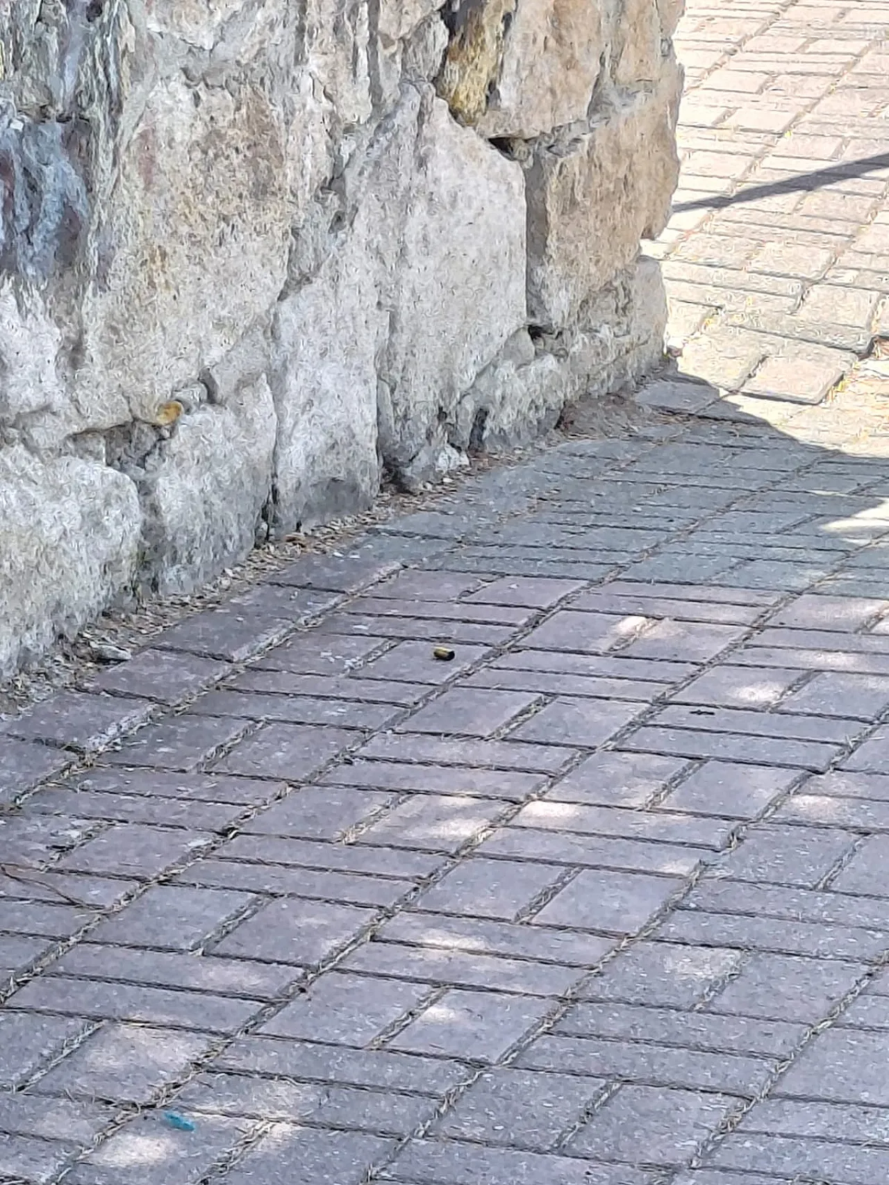 Afyon'da Parkta Dehşet: Eşini, Kayınvalidesini Ve Baldızını Vurdu!