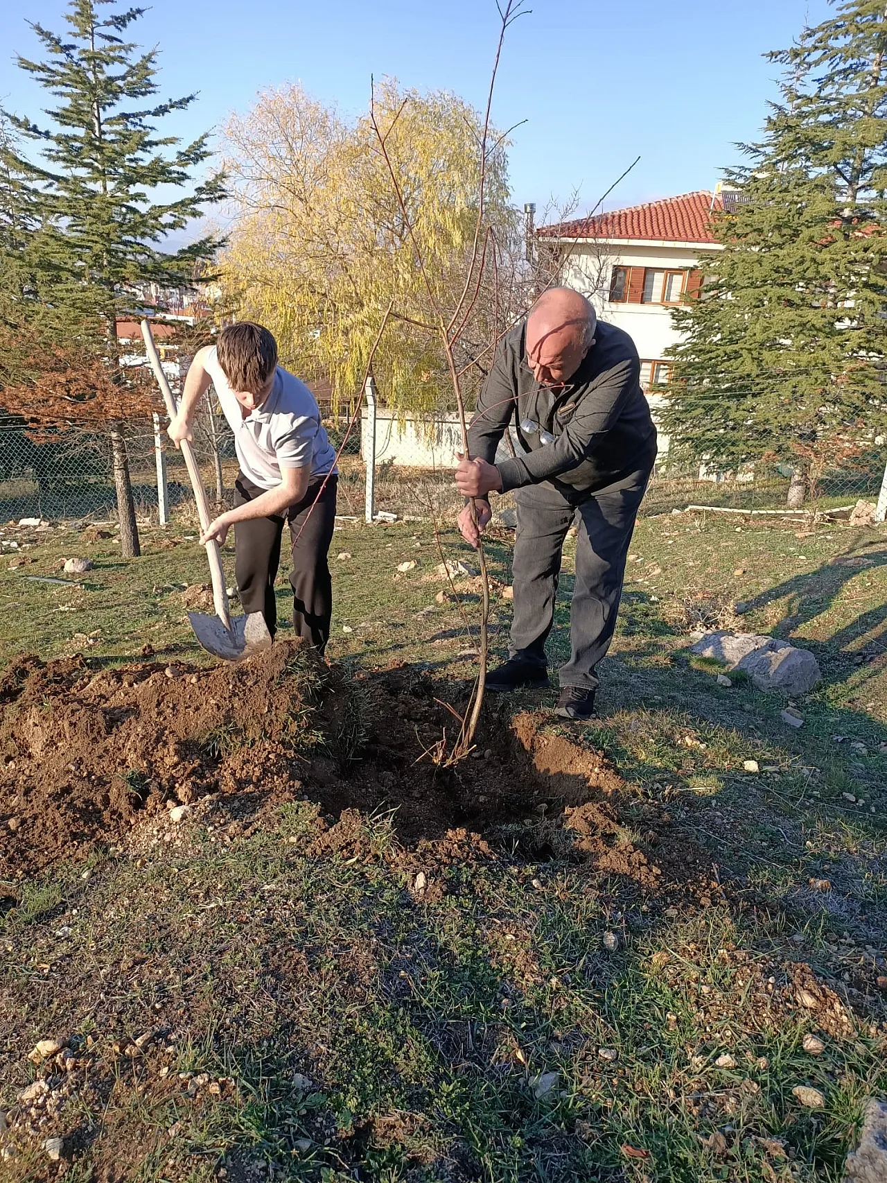 Sandıklılı Yarenler Badem Fidan Dikti