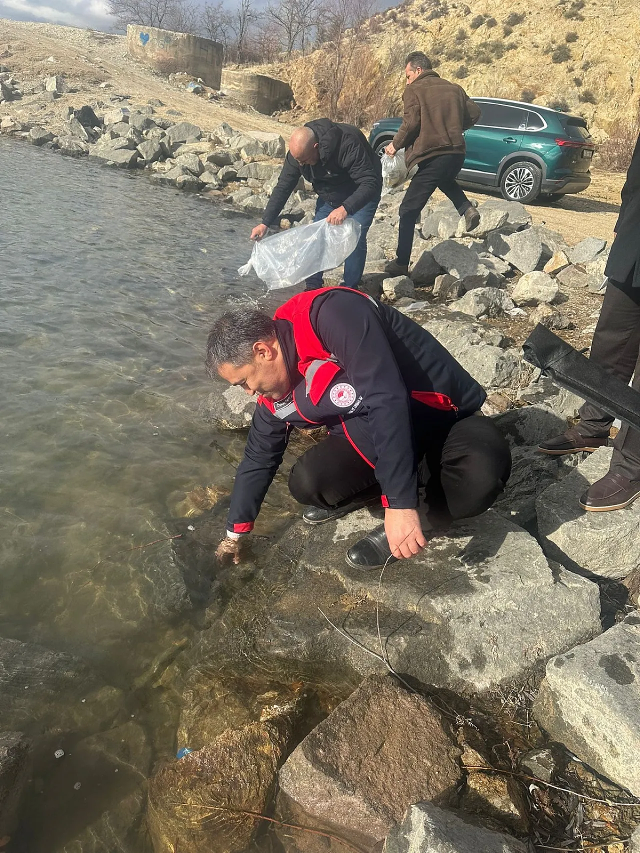 Afyonkarahisar'ın Göllerine 789 Bin Sazan Yavrusu Bırakıldı