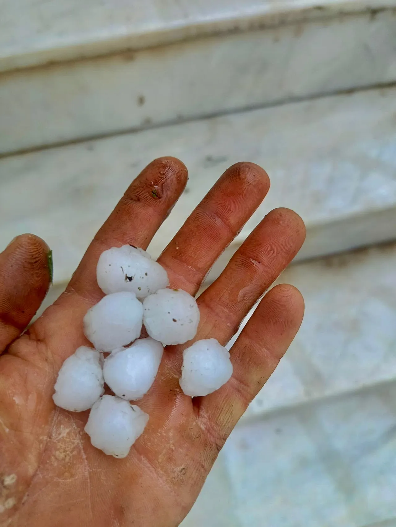 Meteoroloji Uyarmıştı: Afyon'da Dolu Yağışı Tarlaları Vurdu