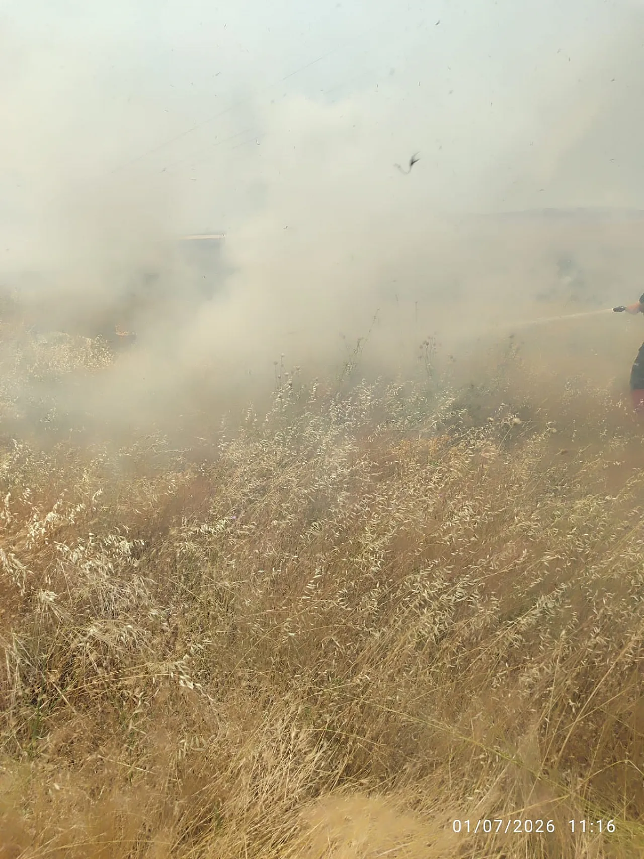 Afyonkarahisar'da Ot Yangınına Anında Müdahale