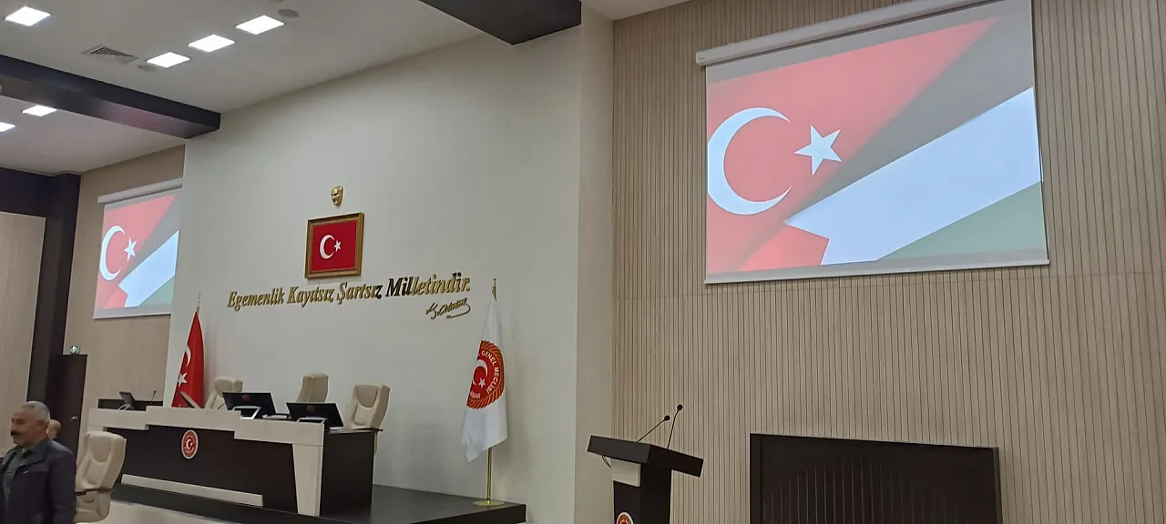 Afyonkarahisar İl Genel Meclisi, Filistin'in Yanında