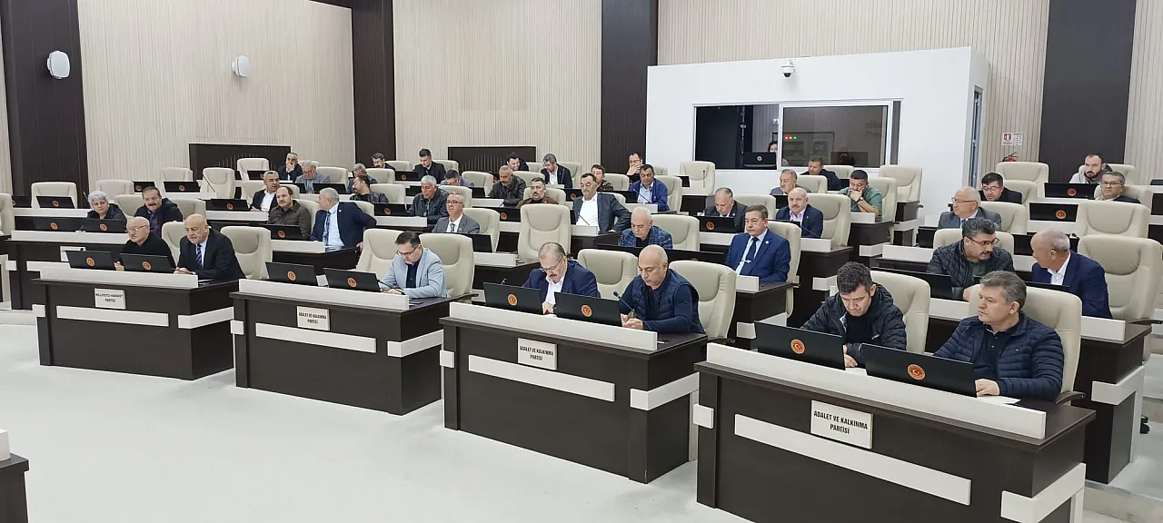 Afyonkarahisar İl Genel Meclisi, Filistin'in Yanında