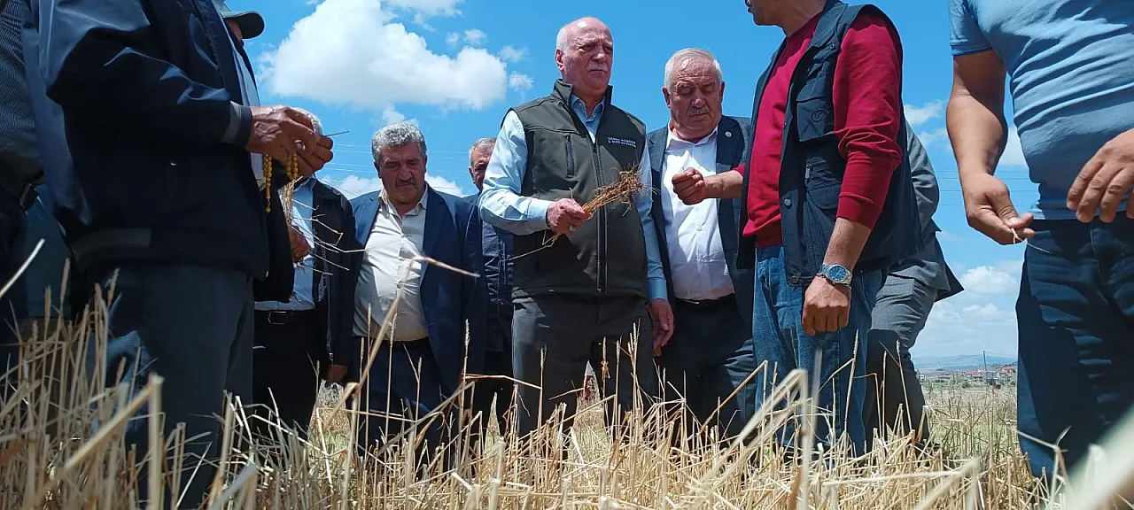 66 Bin Dekar, Yüzlerce Çiftçi Etkilendi