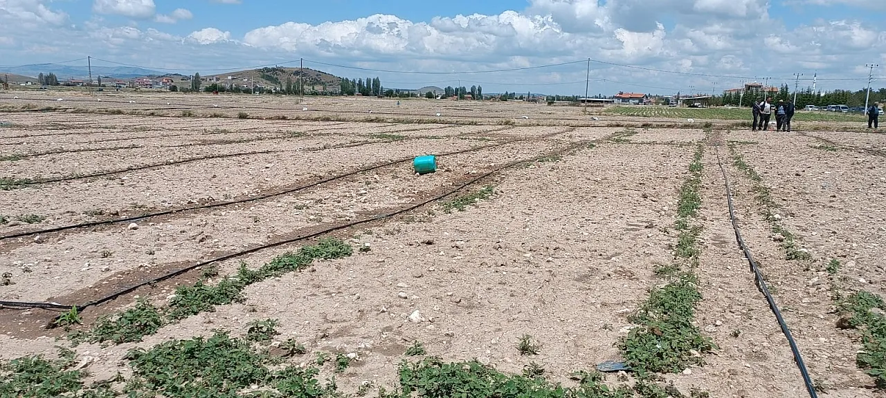 66 Bin Dekar, Yüzlerce Çiftçi Etkilendi