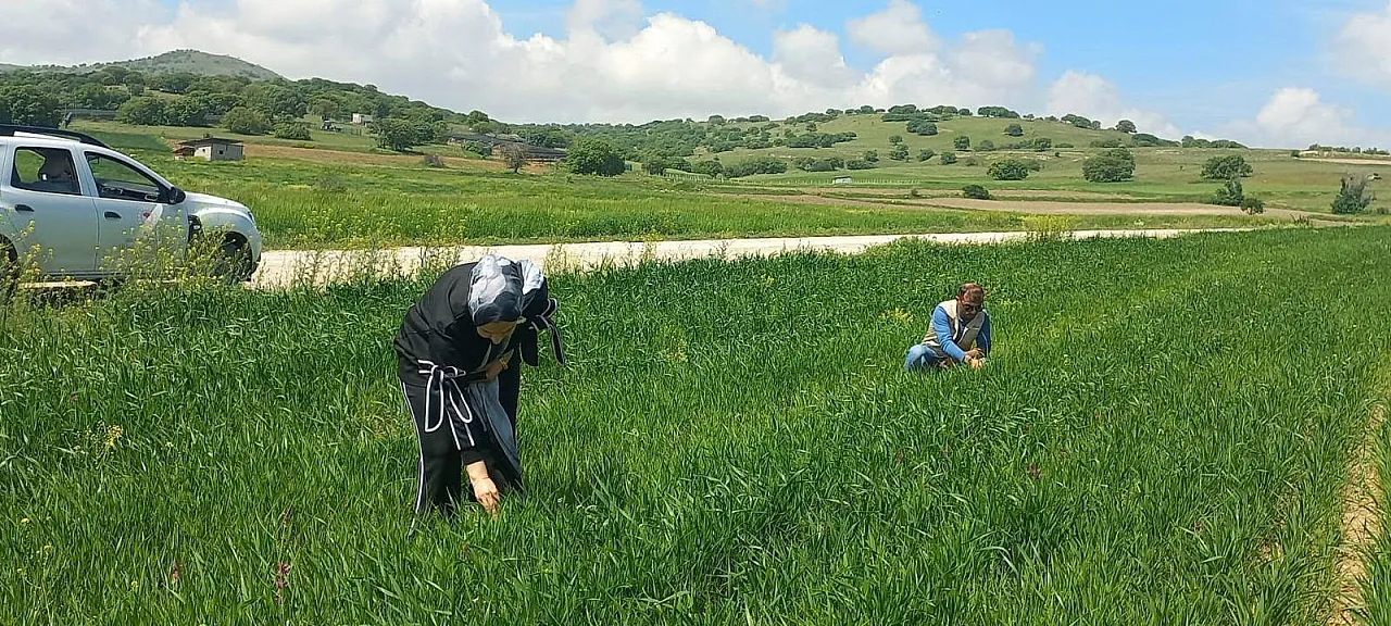 Afyonkarahisar Genelinde Üretim Sezonu İzleniyor