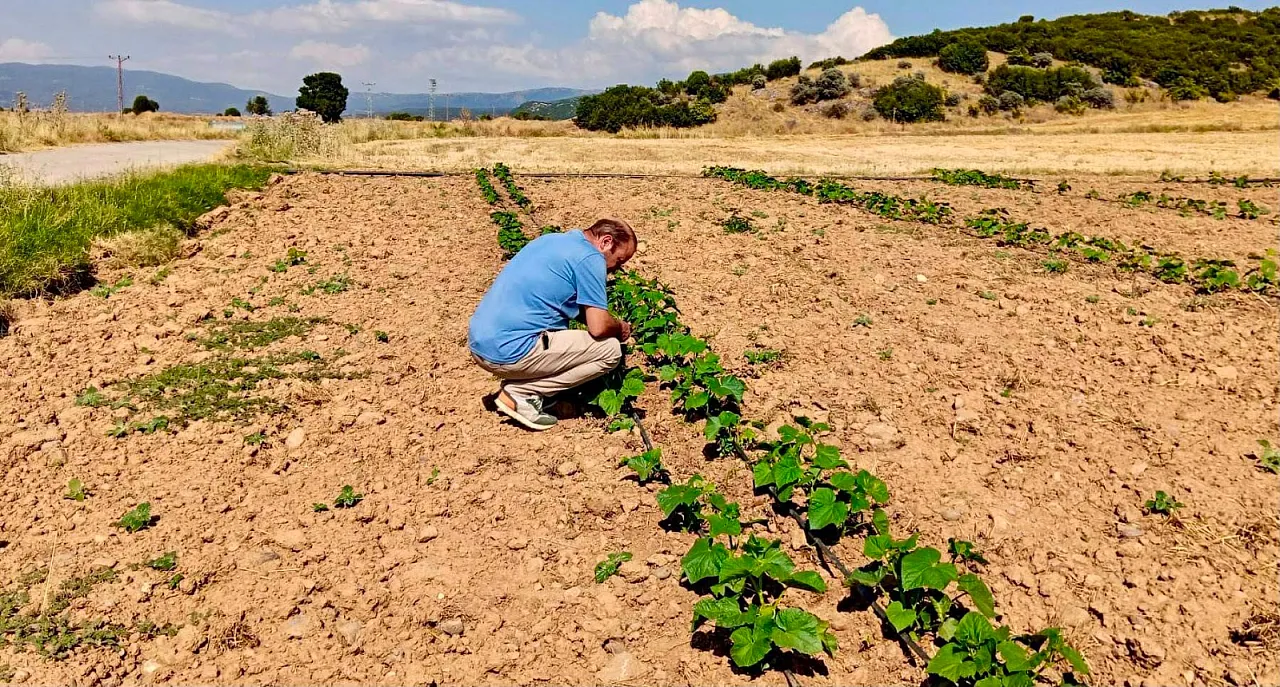 Başmakçı'da Sebze Üretim Alanında Zararlı Kontrolleri Yapıldı